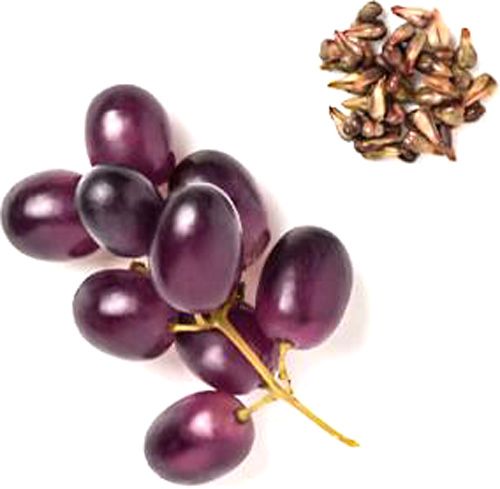 Крем для шкіри навколо очей Arnaud Eclat Jeunesse 15 мл