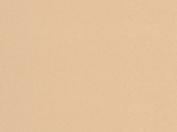 Обои виниловые на бумажной основе Славянские обои Expromt Радуга 5580-13 0,53x10,05 м 