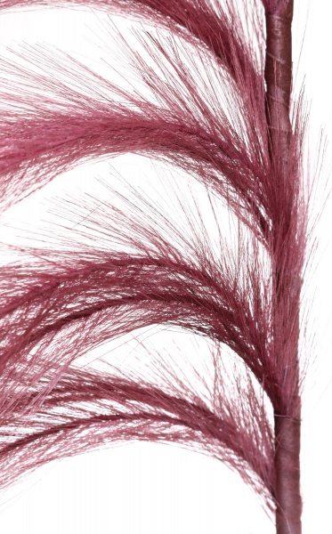 Рослина декоративна гілка з пір'ям бордова 130 см