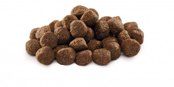 Корм для щенков и молодых собак средних пород Brit Premium от 1 до 12 месяцев 15 кг