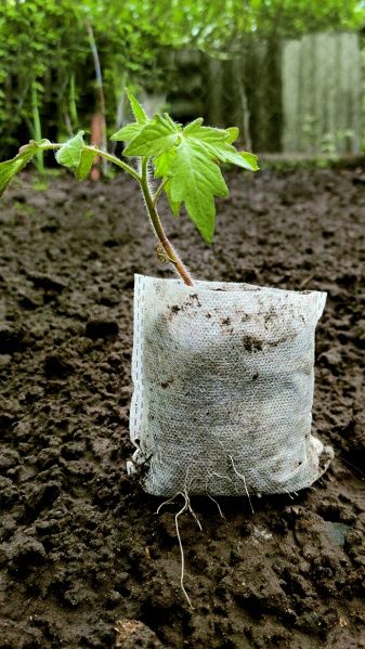 Мешочки для рассады Agrolife 14х20 см 100 шт.