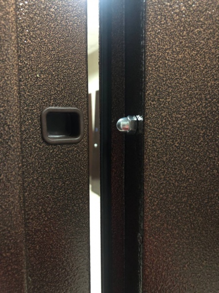 Дверь входная B & G медь антик 2050x850 мм левая