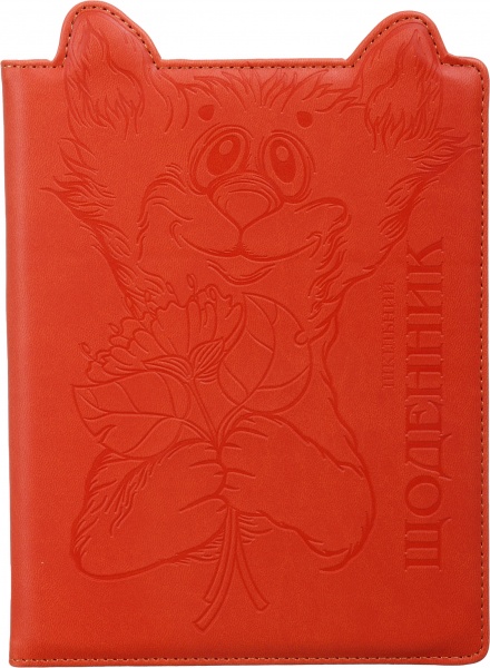 Дневник SD1586 167х211 мм 48 листов Bourgeois