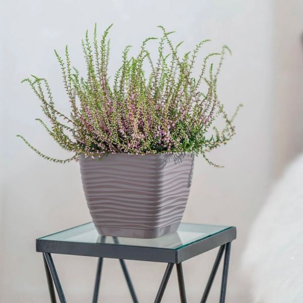 Вазон пластиковий Form Plastic Сахара міні Квадро-13 квадратний 1,3л лате 