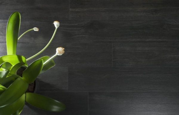 Плитка Emigres Harwood Negro 16,5х100 