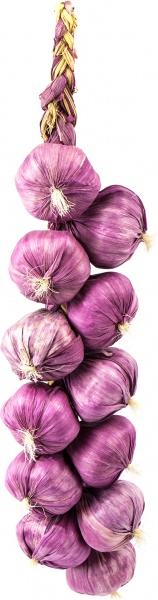 Декоративные овощи Вязанка лука 35 см