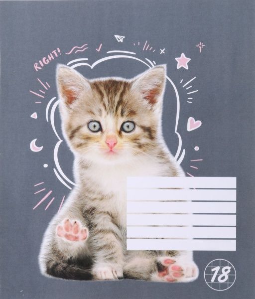 Тетрадь школьная Cat 18 листов клетка 1 Мечты сбываются