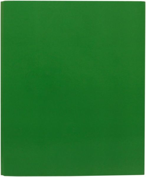 Папка-регистратор 4 кольца 25 мм А4 в ассортименте iTEM