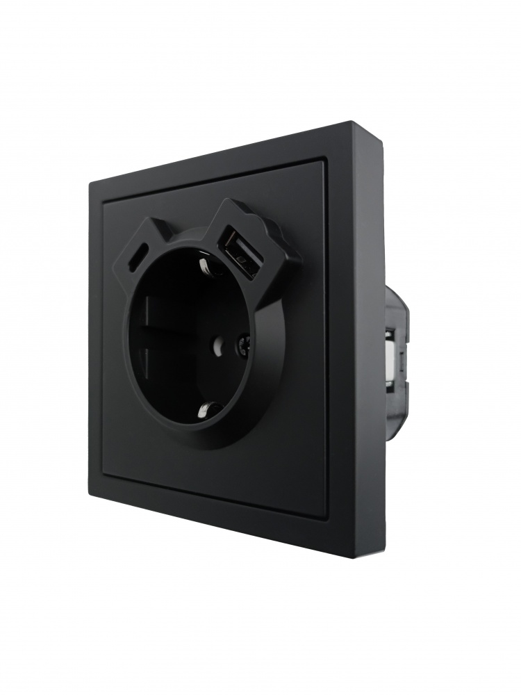 Механізм розетки побутова + USB + Type C із заземленням HausMark Juna IP20 чорний матовий 7041-1788U2-181TC
