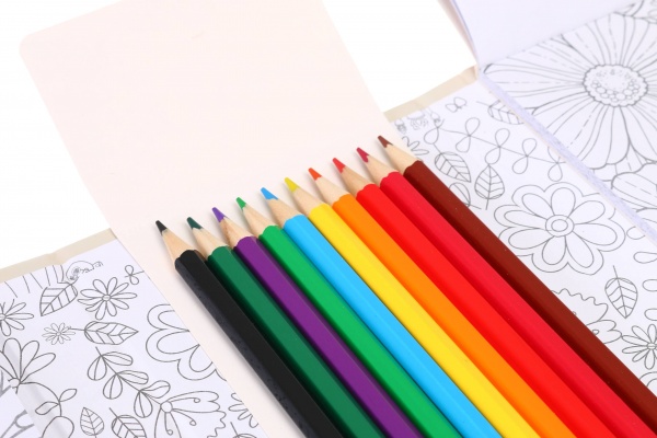 Набор для рисования раскраска Flowers 