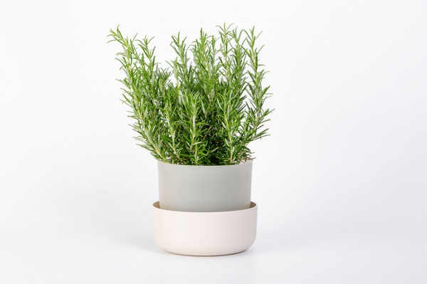 Вазон пластиковий Plastia з піддоном Tolita 19 см круглий 2,2 л коричневий (1707281907) 