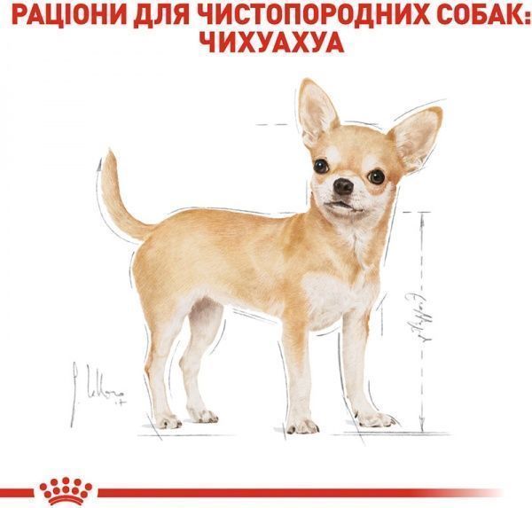Корм Royal Canin для собак CHIHUAHUA ADULT 1,5 кг