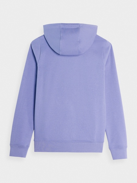 Джемпер 4F SWEATSHIRT F0730 4FAW23TSWSF0730-32S р.L голубой