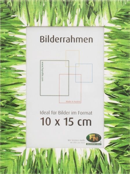 Рамка для фото Трава 712604 10x15 см 
