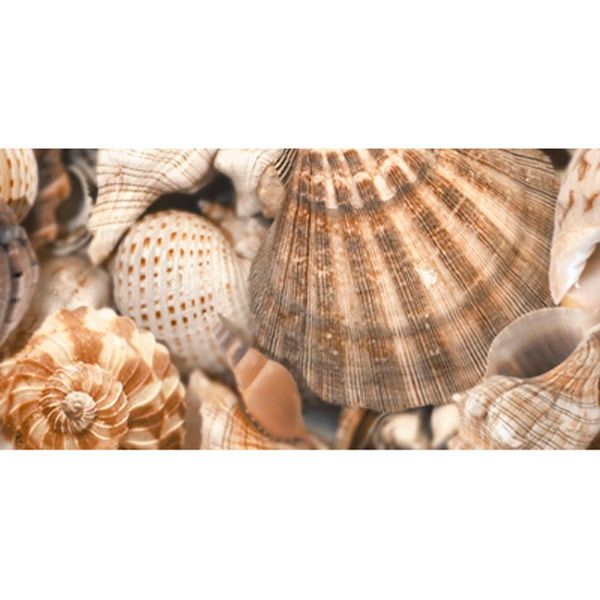Декор Golden Tile Sea Breeze Shells 3 бежевий Е11431 300x600 мм