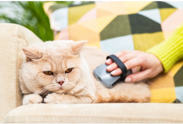 Щетка FURminator для собак и кошек резиновая (691715)