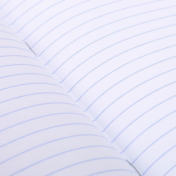 Зошит шкільний 12 аркушів у лінію Shark