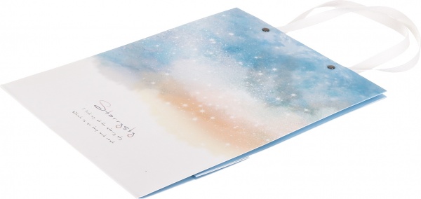 Пакет бумажный 24x31x13 см YST831-7T(Blue)