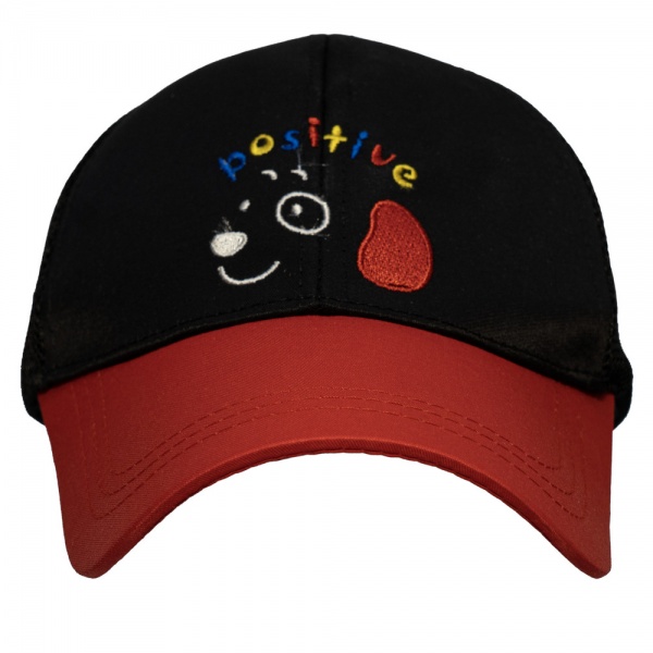 Кепка для мальчиков Девилон 3-8 лет р.48-54 черный 519018 