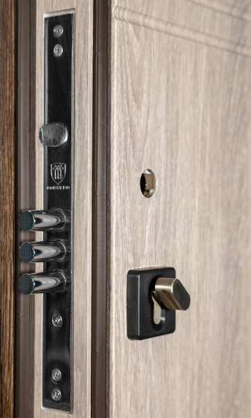 Двері вхідні Revolut Doors В-617 мод. 234-237 дуб тютюн / дуб немо срібний 2050x850 мм ліві