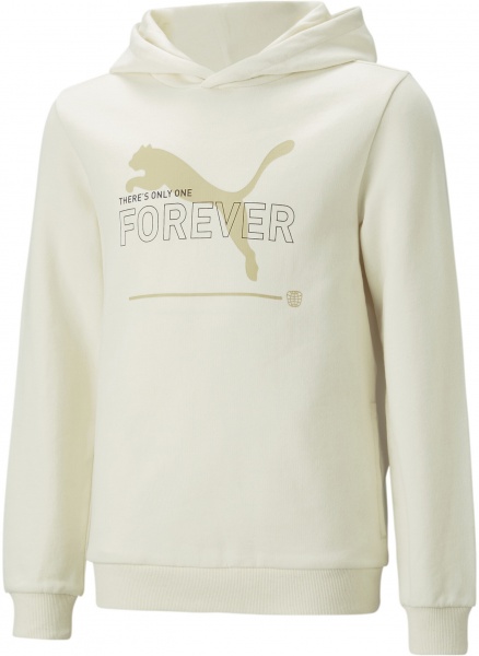 Джемпер Puma PUMA ESS BETTER HOODIE TR KIDS 67365999 р. 140 бежевый
