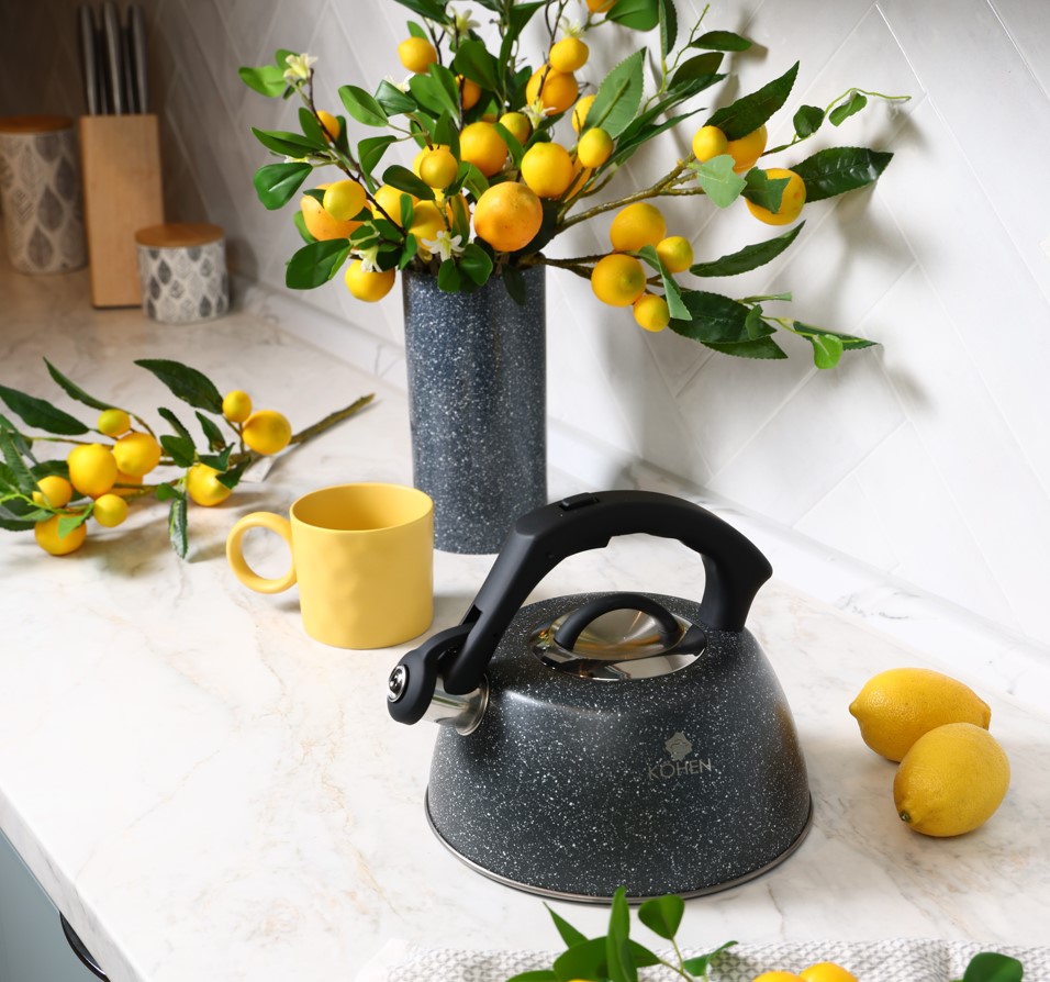 Чайник Kohen Rocky 3 л KN93002