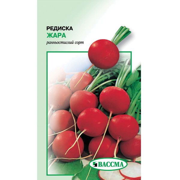 Насіння Редис Жара 20 г