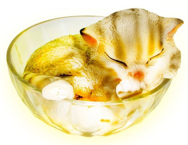 Світильник на сонячній батареї Camelion SG-147 LED IP44 різнокольоровий 