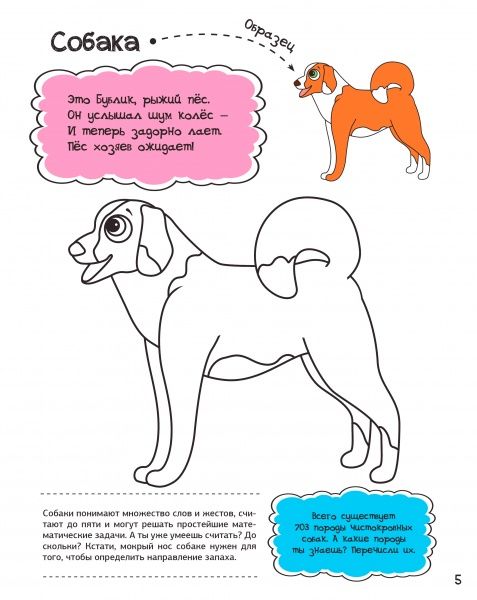 Раскраска Анна Алешичева «У бабушки в деревне» 978-617-690-812-8