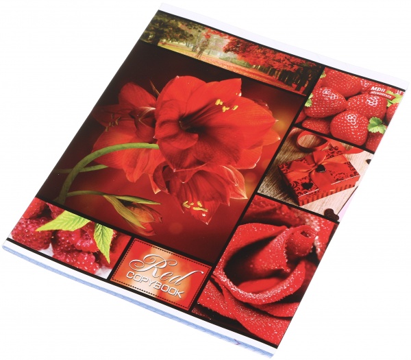 Зошит шкільний 48 аркушів у клітинку в асортименті Мрії збуваються