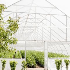 Навесы и постройки для дома