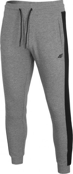 Штани 4F D4Z20-SPMD306-24M р. 2XL сірий