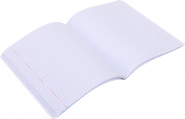 Тетрадь школьная Лайтгрин 96 листов в клеточку