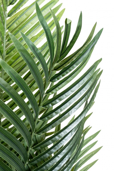 Дерево искусственное Пальма 180 см в горшке 360467 Девилон