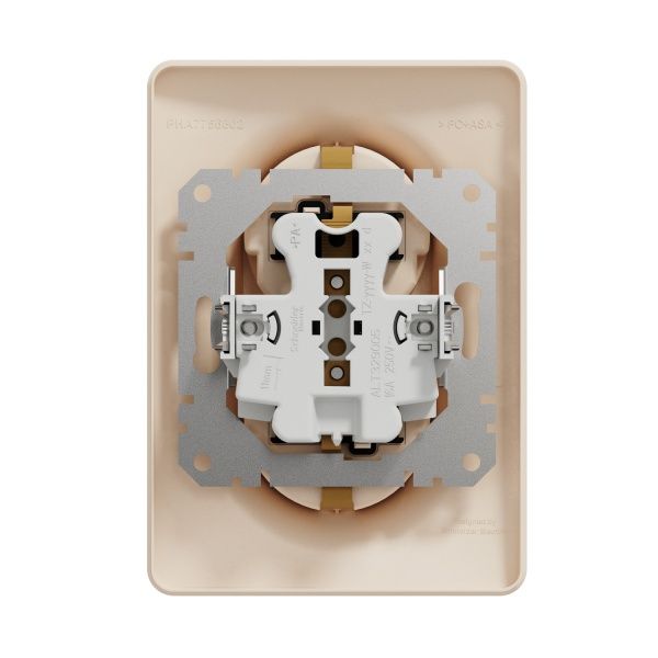 Розетка силовая двойная с заземлением Schneider Electric Sedna Design со шторками без крышки бежевый SDD312221