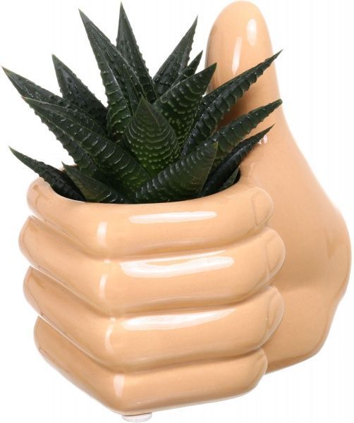 Рослина Суккулент мікс в горщику пальці Ок 6х13 см