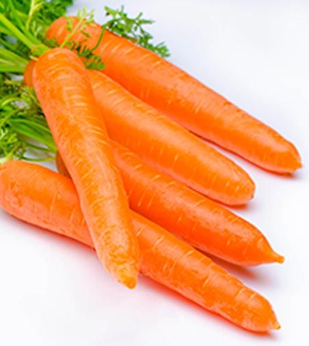 Семена Садовий Світ морковь Перфекция 2г