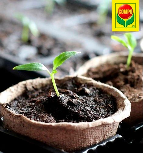 Торфосмесь универсальная Compo Sana 5 л + апликатор для зеленых расстений и пальм 30 мл 5 шт.