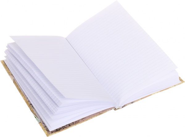 Блокнот Ирис Mandarin