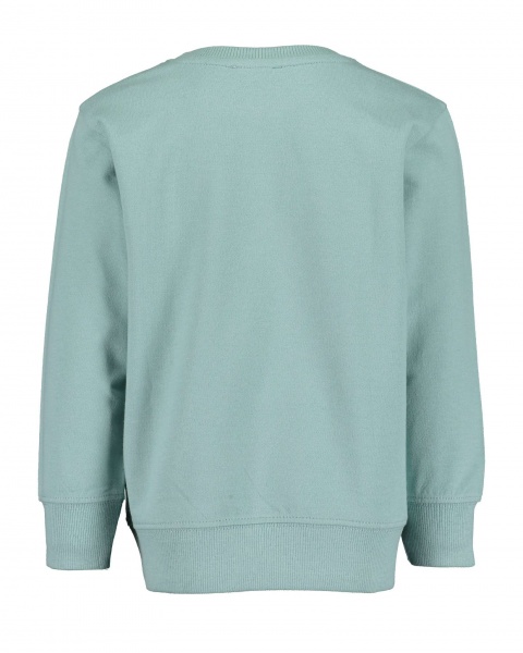 Реглан для мальчика Blue Seven р.110 817605 X_631_р.110 