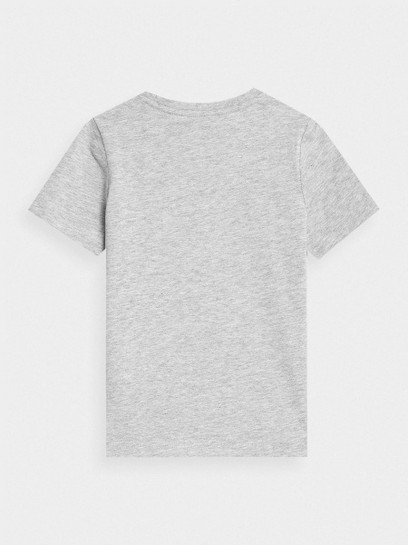 Футболка 4F TSHIRT M640 4FJMM00TTSHM640-27M р.140 серый