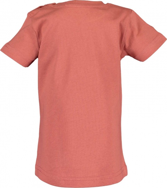 Футболка для мальчиков Blue Seven р.80 928121 X_291_р.80 