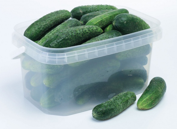 Ємність Poliplast прямокутний (харчовий пластик) 5 л прозорий 