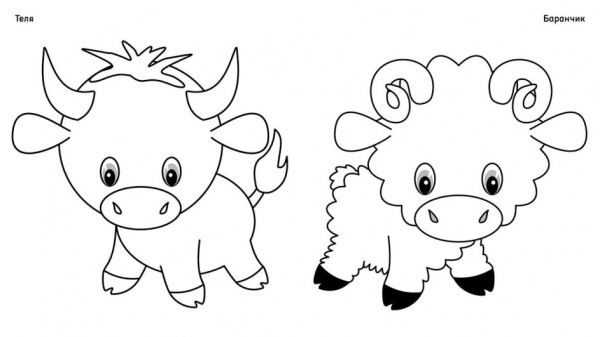 Раскраска «Тварини» 978-617-097-206-4