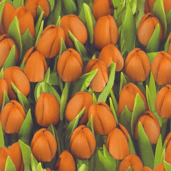 Обои из вспененного винила Sintra Decoration Тюльпаны 416747 0,53x10,05 м 
