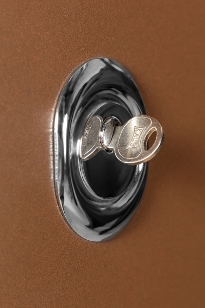 Дверь входная Булат Elegant 703 Metalic Wood - коричневая коричневый 2050x950 мм правая