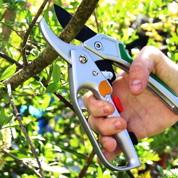 Секатор Gruntek Kondor xраповой двухрежимный 20 см (295200200) 