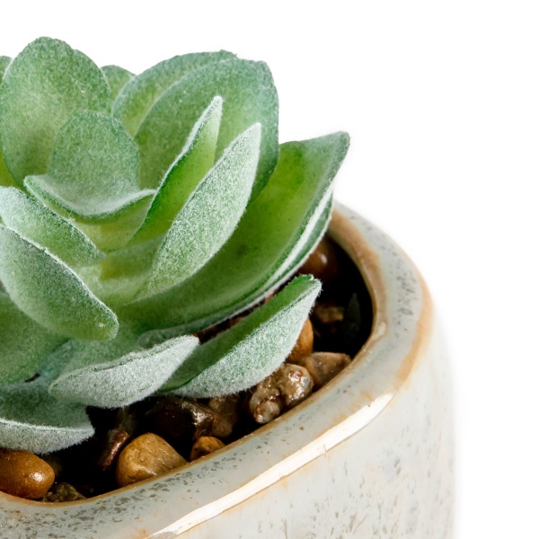 Растение декоративное DH-FLOWERS-20 GREEN/WHITE 