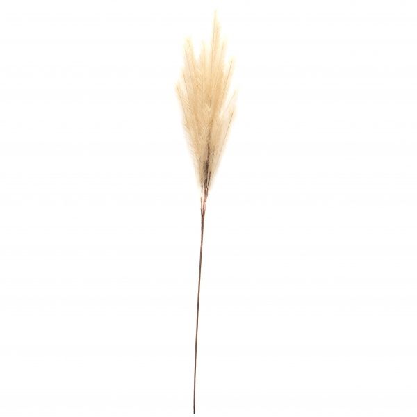 Гілочка декоративна Осока 120 см білого кольору Девілон