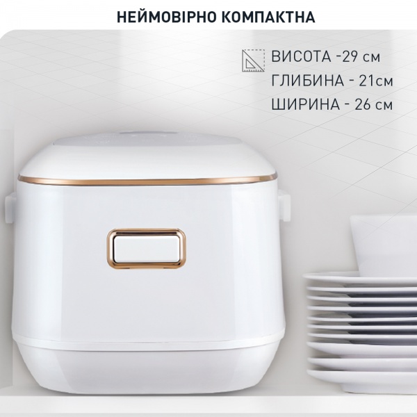Мультиварка Tefal Mini Multicooker RK601134 